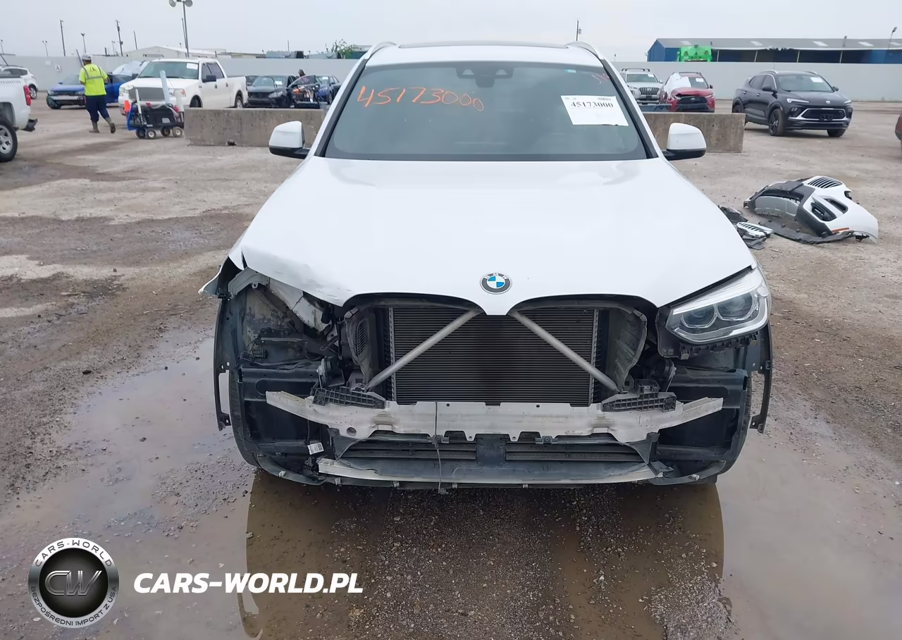 2019 BMW X3 Sdrive30I VIN:5UXTR7C51KLE88977 - 13