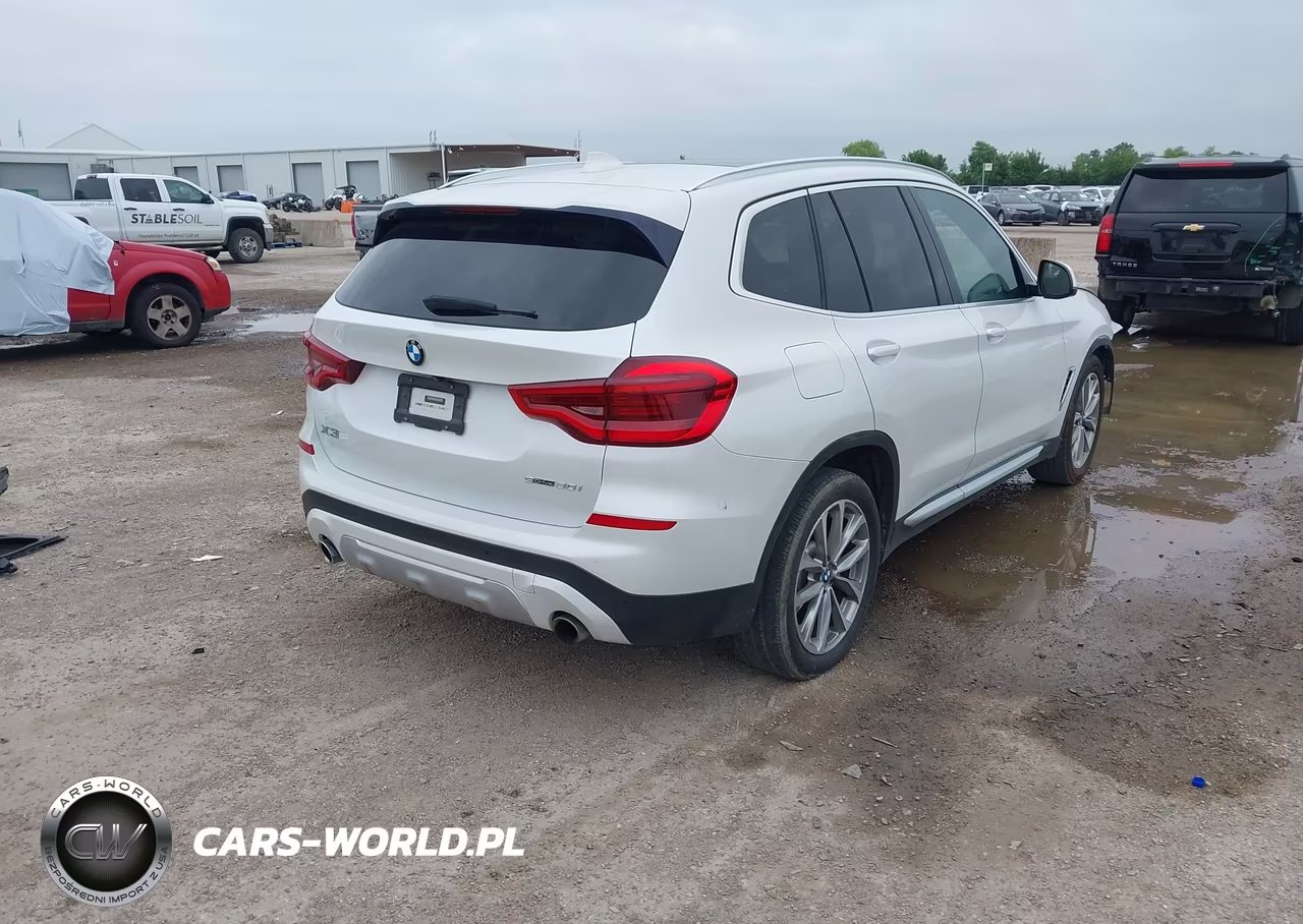2019 BMW X3 Sdrive30I VIN:5UXTR7C51KLE88977 - 4