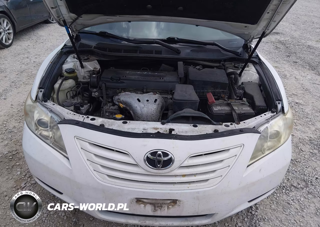 2009 Toyota Camry Le VIN:4T1BE46K09U888504 - 10