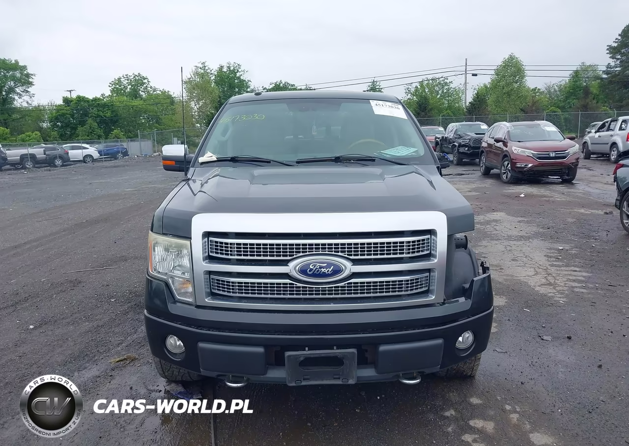 2010 Ford F-150 Fx4-Harley-Davidson-King Ranch-Lariat-Platinum-Xl-Xlt VIN:1FTFW1EV3AFB43803 - 12