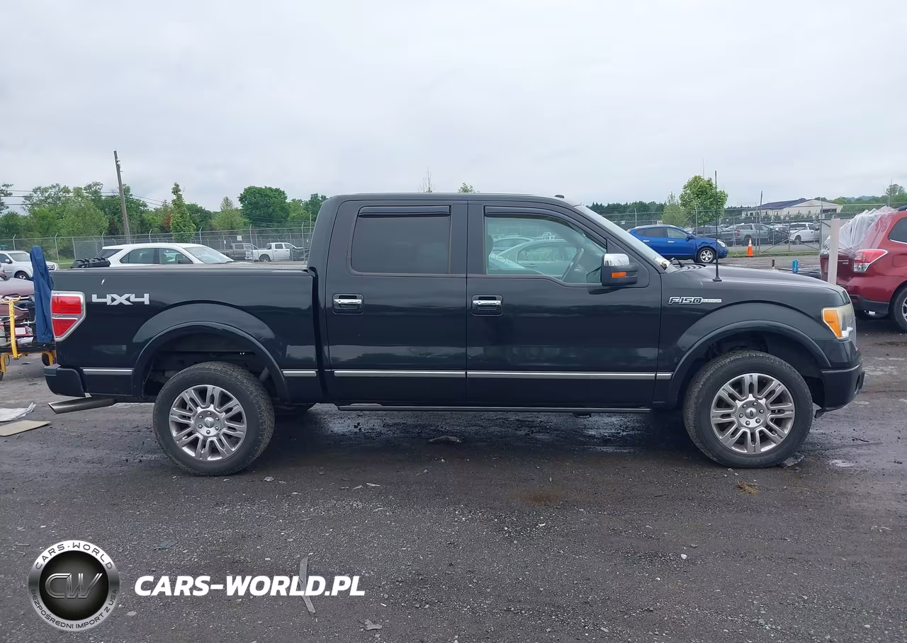2010 Ford F-150 Fx4-Harley-Davidson-King Ranch-Lariat-Platinum-Xl-Xlt VIN:1FTFW1EV3AFB43803 - 13