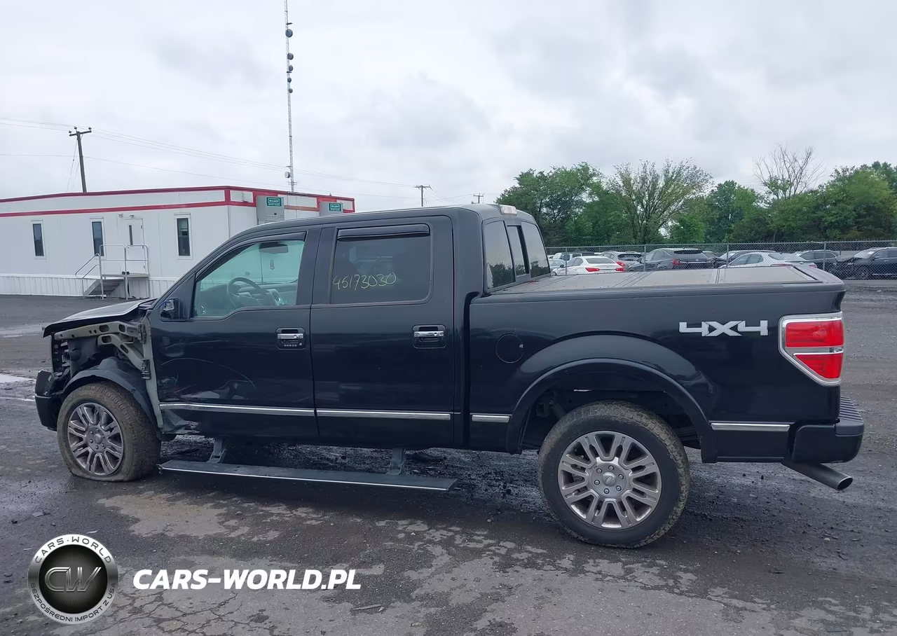 2010 Ford F-150 Fx4-Harley-Davidson-King Ranch-Lariat-Platinum-Xl-Xlt VIN:1FTFW1EV3AFB43803 - 14