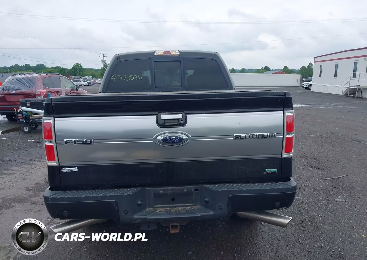 2010 Ford F-150 Fx4-Harley-Davidson-King Ranch-Lariat-Platinum-Xl-Xlt VIN:1FTFW1EV3AFB43803 - 16