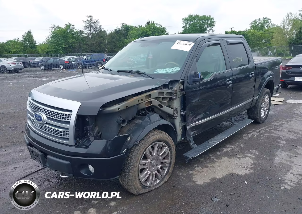 2010 Ford F-150 Fx4-Harley-Davidson-King Ranch-Lariat-Platinum-Xl-Xlt VIN:1FTFW1EV3AFB43803 - 2