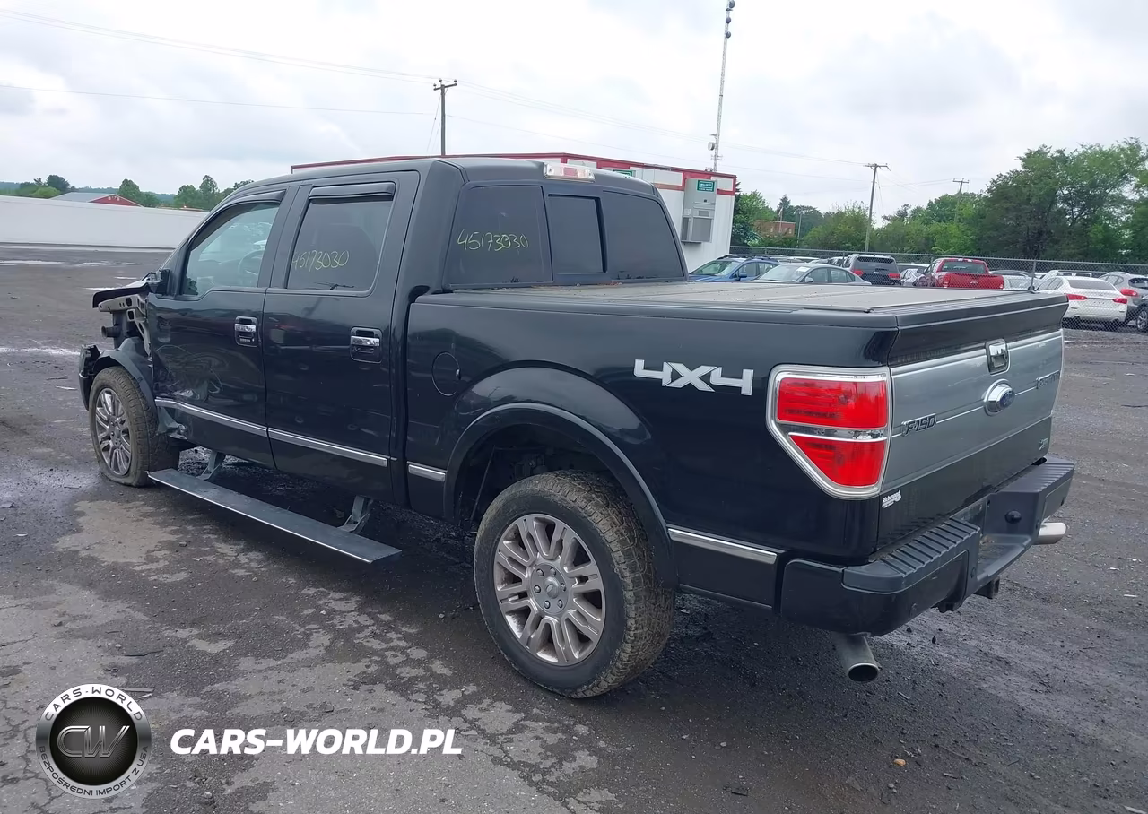 2010 Ford F-150 Fx4-Harley-Davidson-King Ranch-Lariat-Platinum-Xl-Xlt VIN:1FTFW1EV3AFB43803 - 3