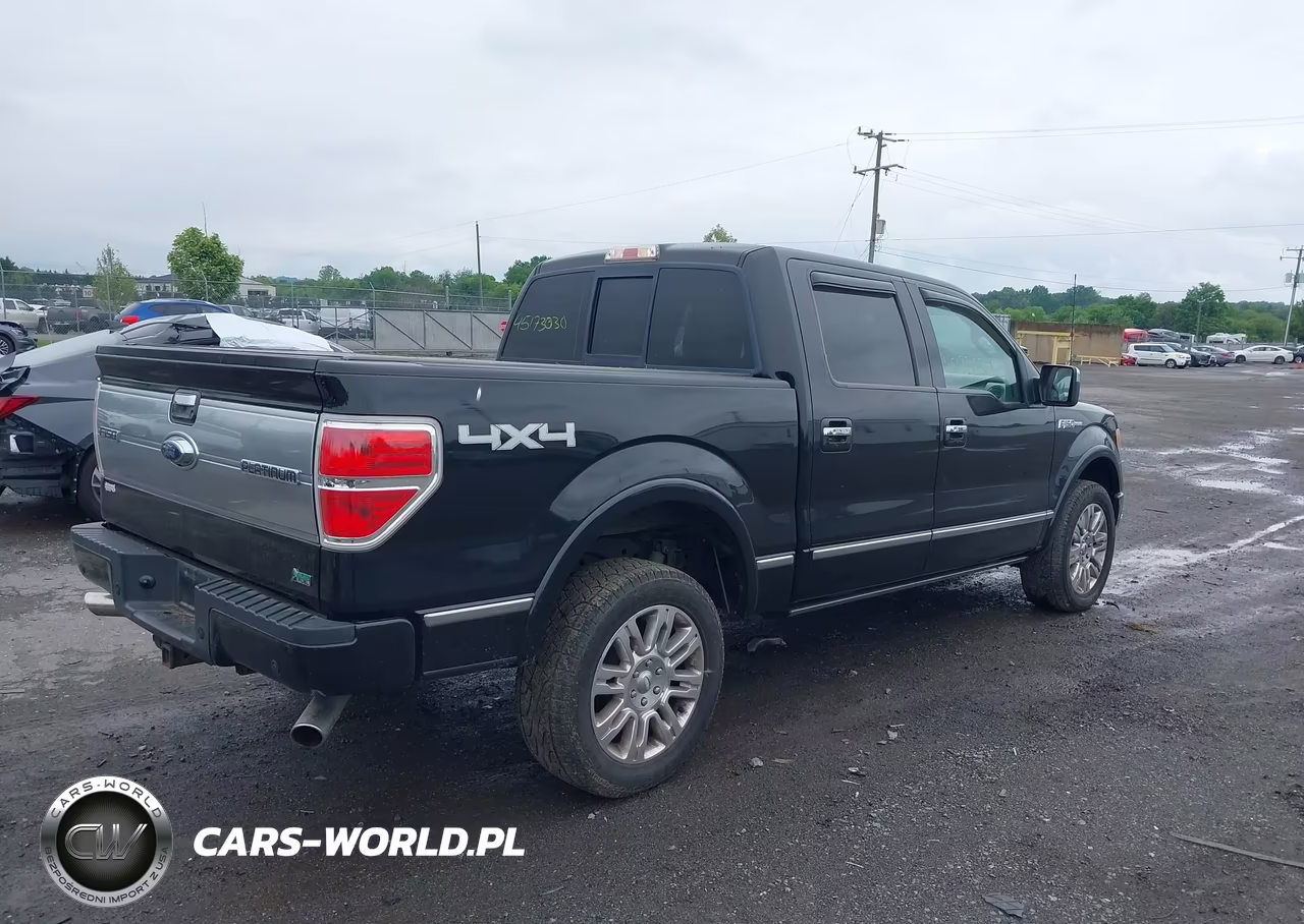 2010 Ford F-150 Fx4-Harley-Davidson-King Ranch-Lariat-Platinum-Xl-Xlt VIN:1FTFW1EV3AFB43803 - 4
