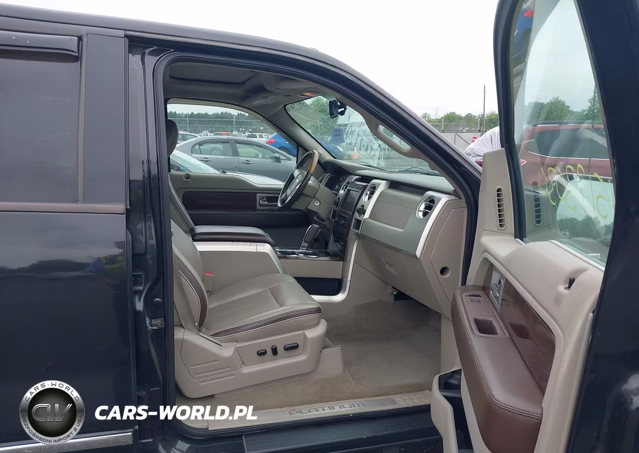 2010 Ford F-150 Fx4-Harley-Davidson-King Ranch-Lariat-Platinum-Xl-Xlt VIN:1FTFW1EV3AFB43803 - 5