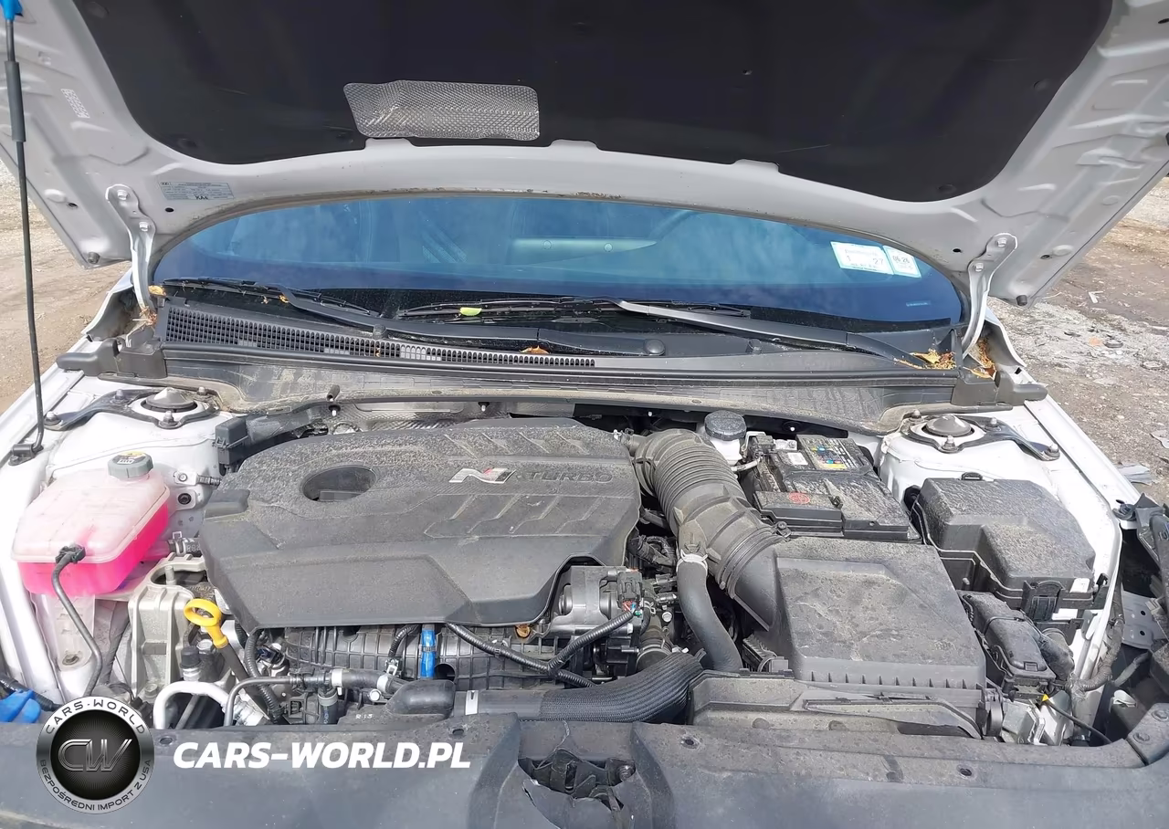 2023 Hyundai Elantra N VIN:KMHLW4AK5PU011996 - 10