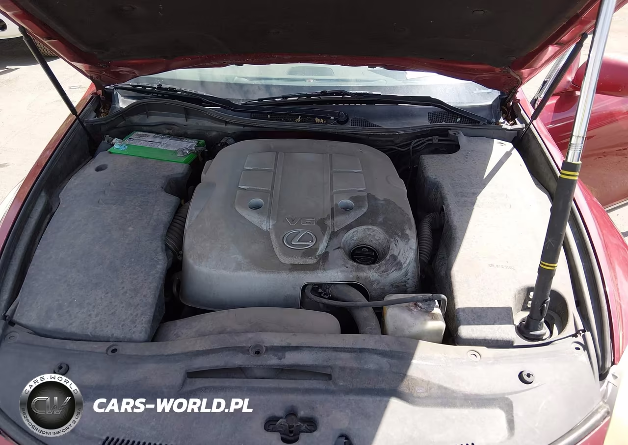 2006 Lexus Gs 300 VIN:JTHBH96S365031655 - 10