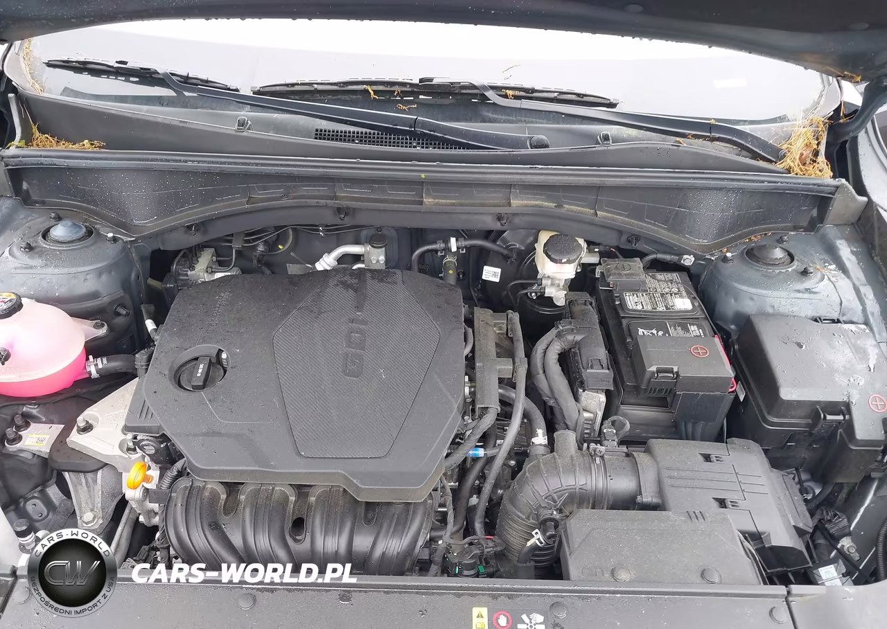 2025 Kia Sorento S VIN:5XYRLDJC4SG383260 - 10