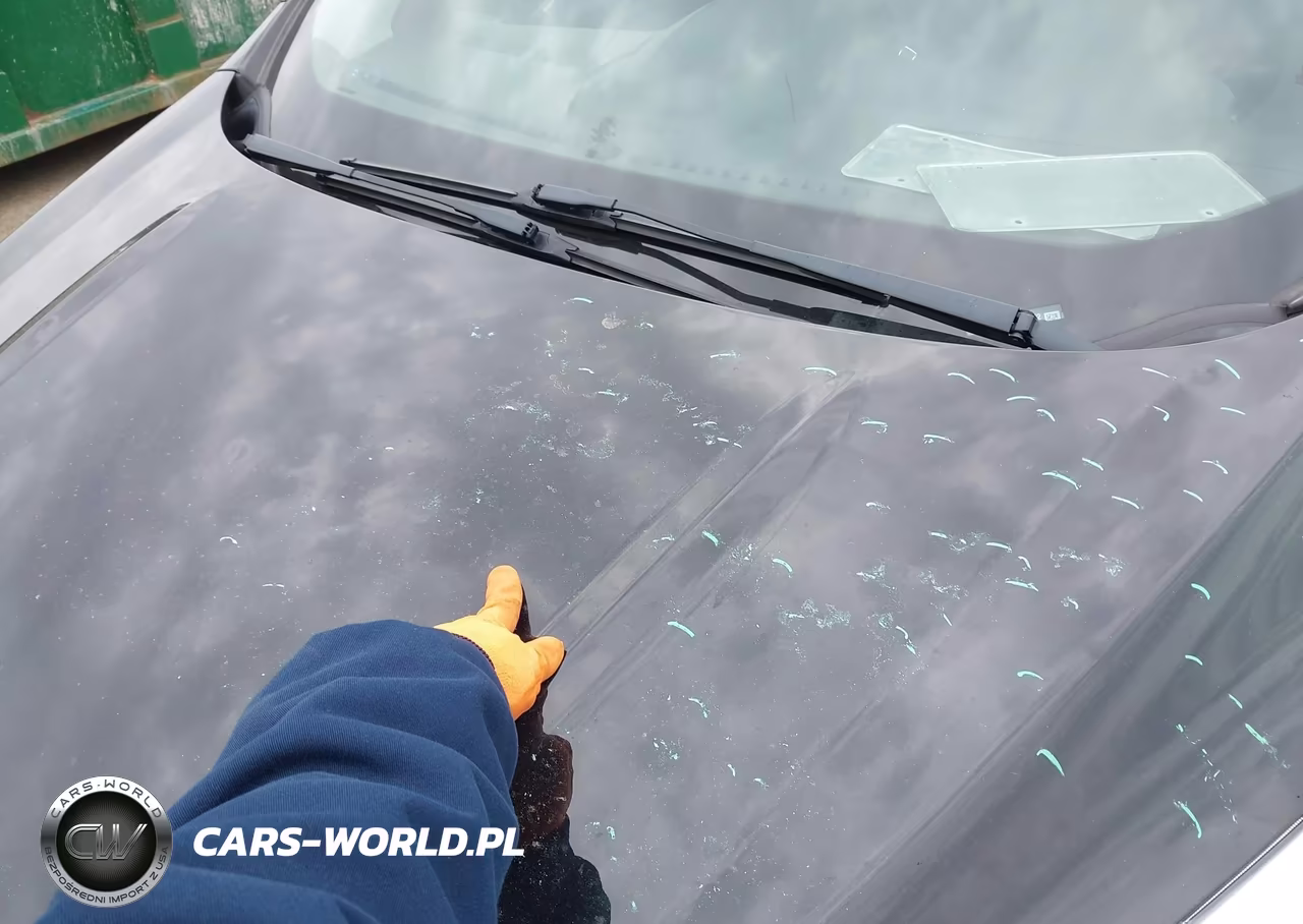 2019 Ford Escape Se VIN:1FMCU9GD0KUC54152 - 6