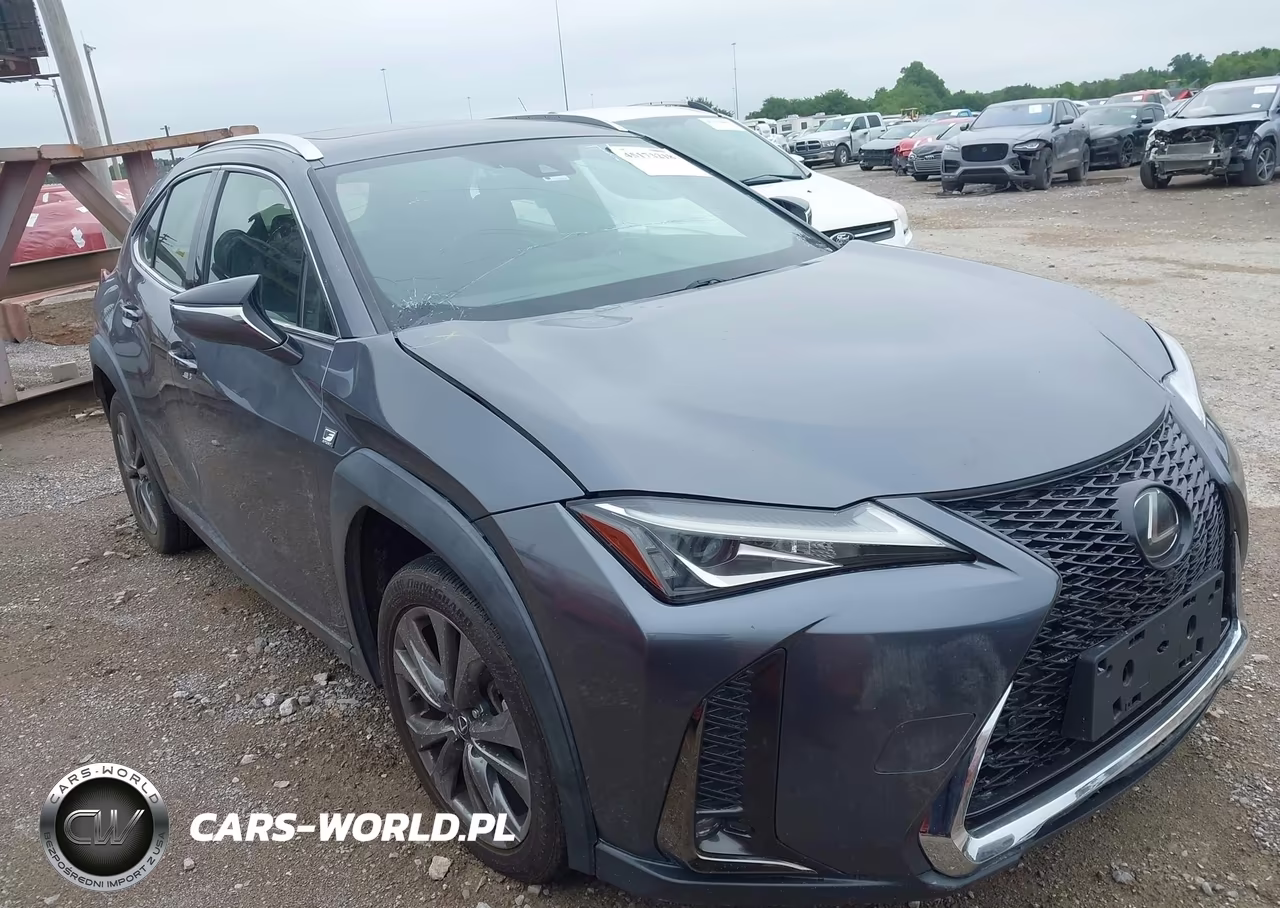 2019 Lexus Ux 200