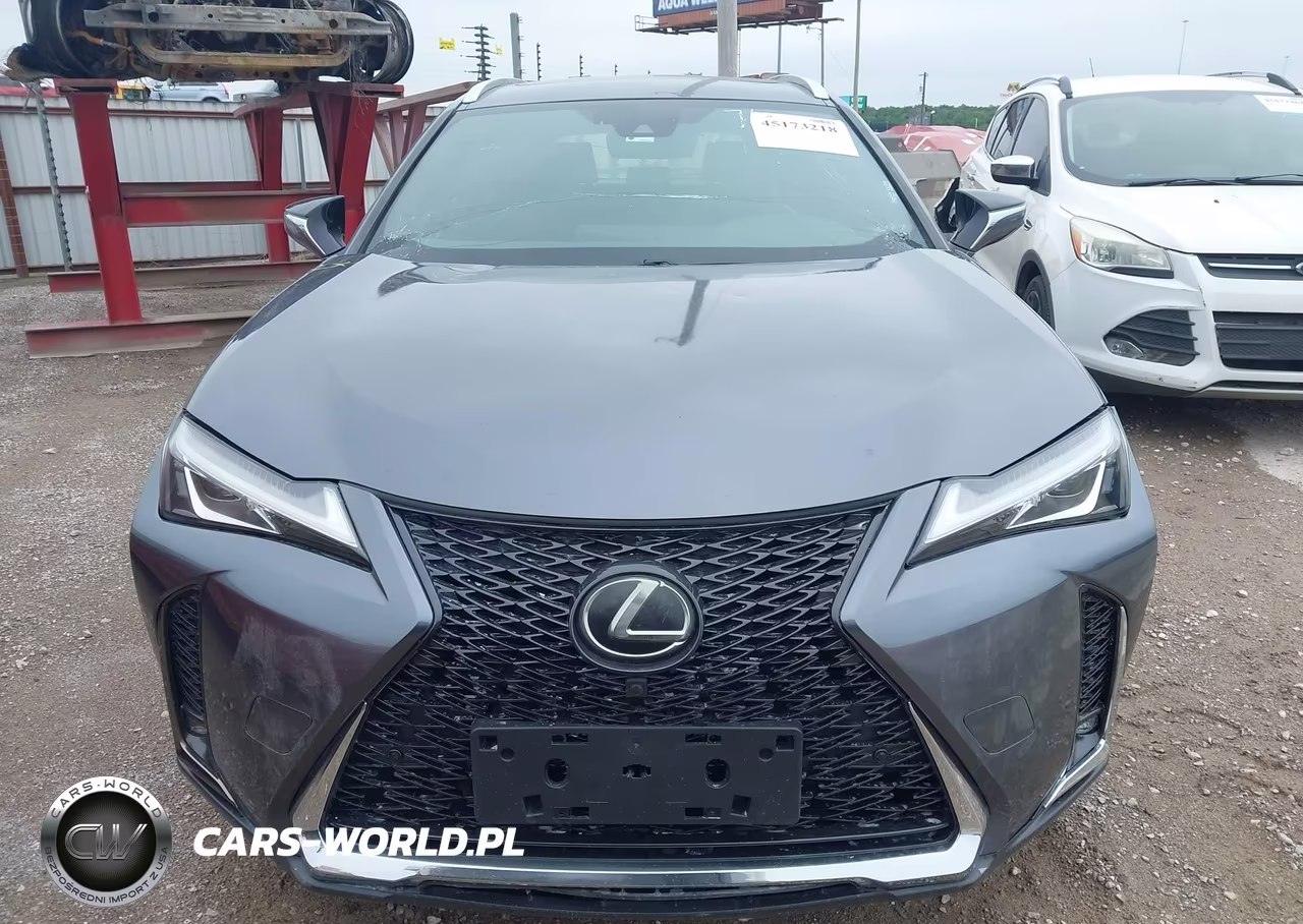 2019 Lexus Ux 200 VIN:JTHY3JBH9K2004704 - 12