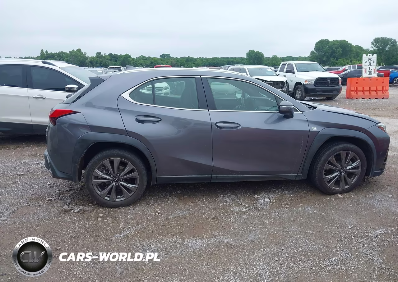 2019 Lexus Ux 200 VIN:JTHY3JBH9K2004704 - 13