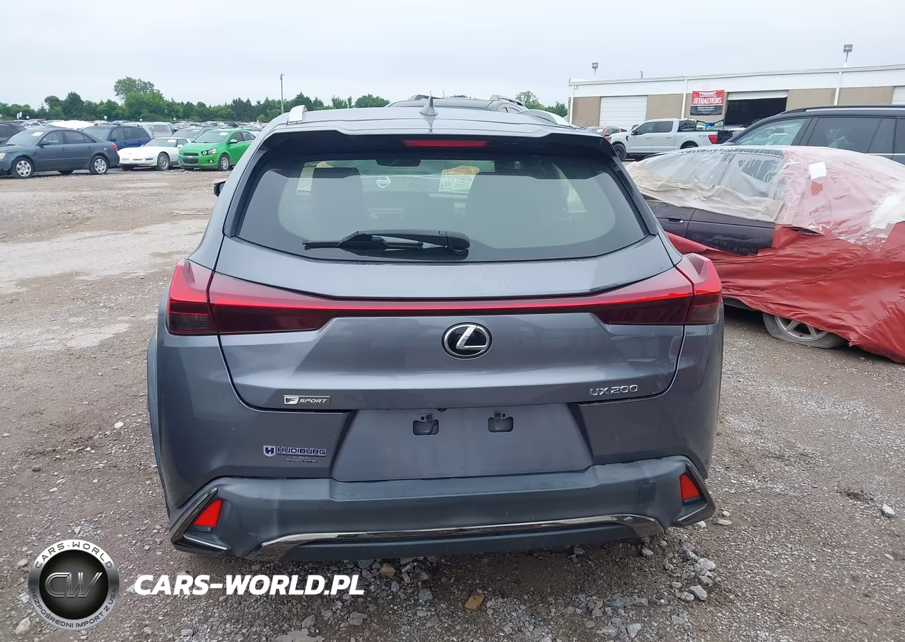 2019 Lexus Ux 200 VIN:JTHY3JBH9K2004704 - 16