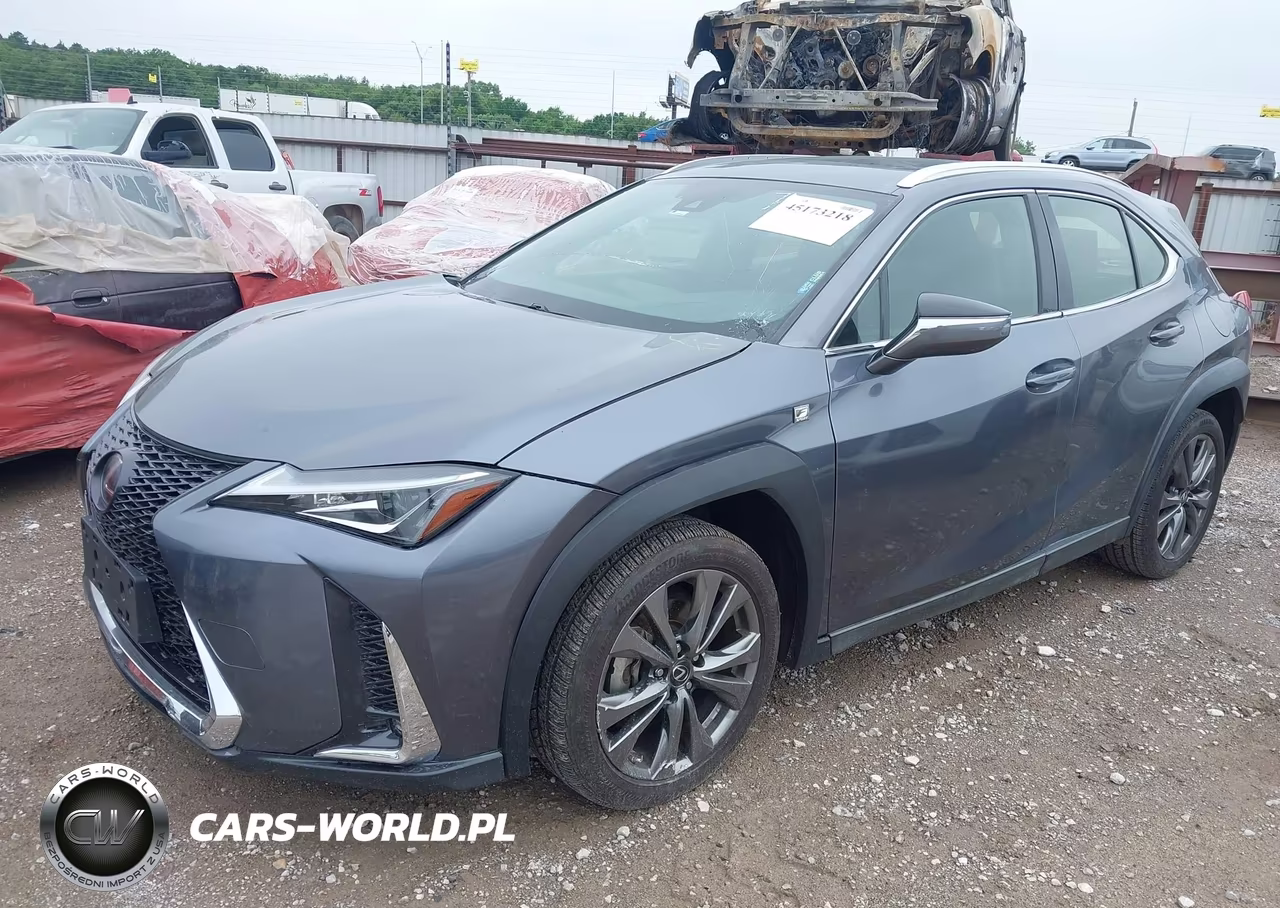 2019 Lexus Ux 200 VIN:JTHY3JBH9K2004704 - 2