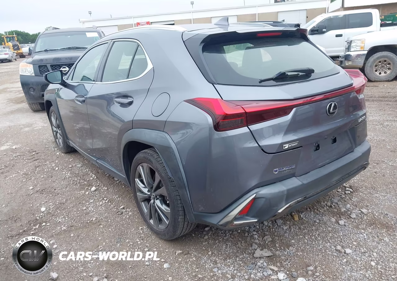 2019 Lexus Ux 200 VIN:JTHY3JBH9K2004704 - 3