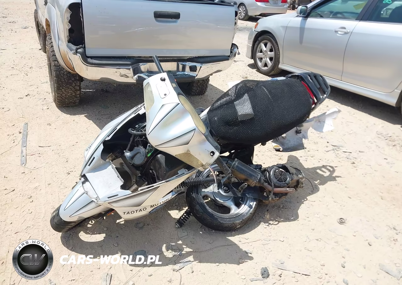 2020 Tao Tao Moped VIN:L9NTCGPB0L1000262 - 2