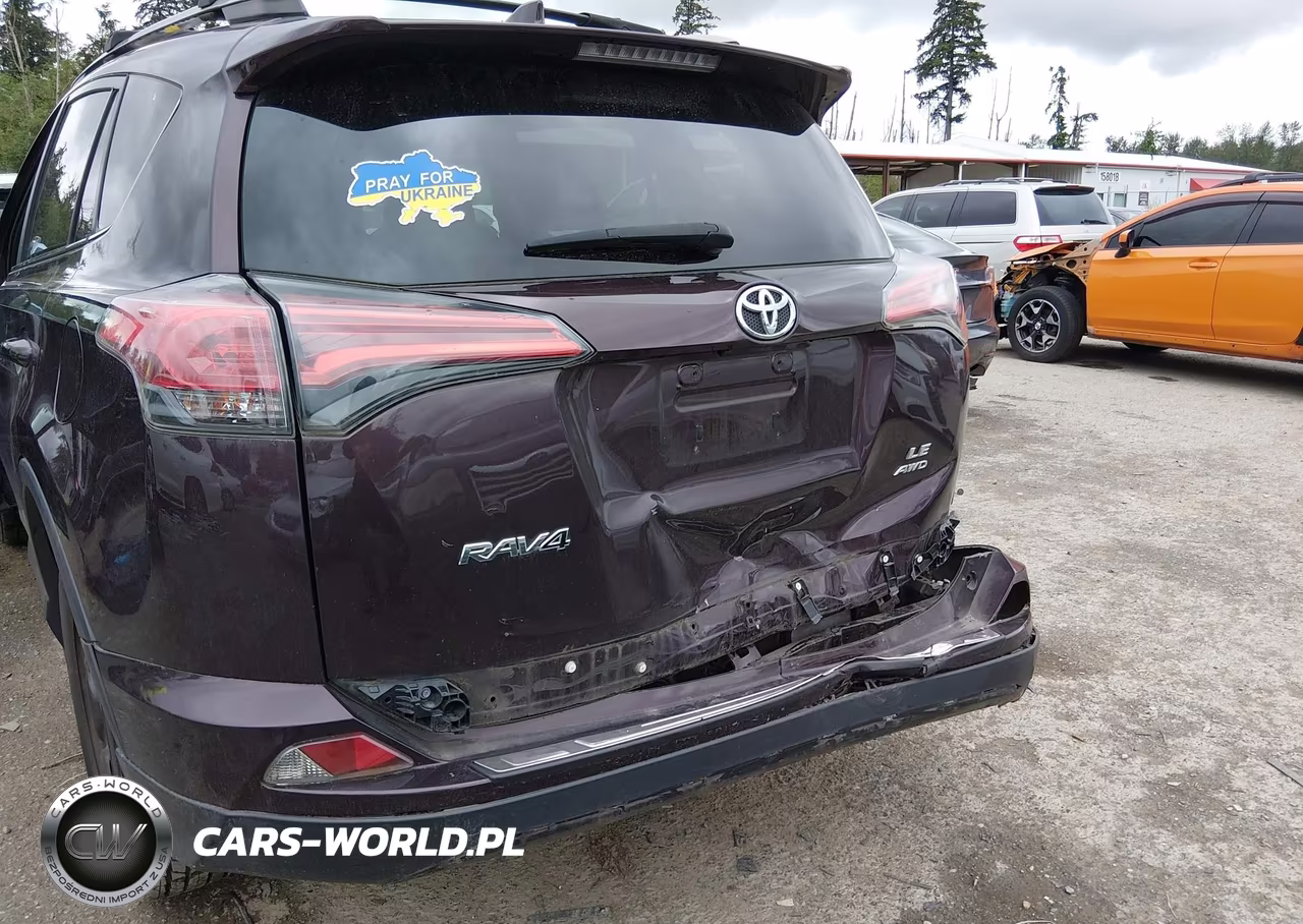 2017 Toyota Rav4 Le VIN:2T3BFREVXHW545372 - 19