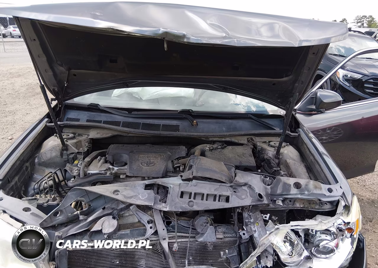 2014 Toyota Camry Xle VIN:4T1BF1FK1EU350108 - 10