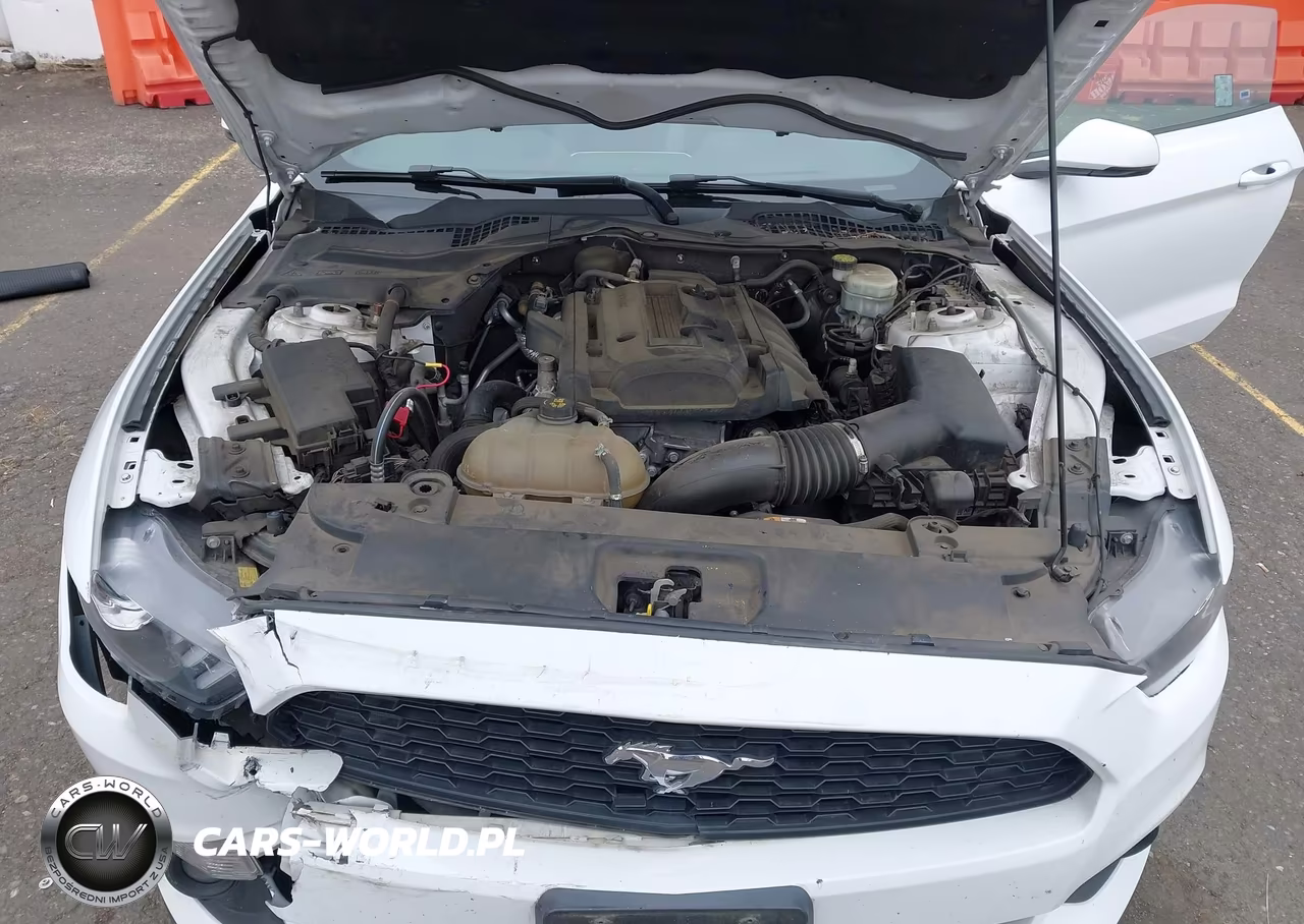 2015 Ford Mustang Ecoboost VIN:1FA6P8TH6F5425858 - 10