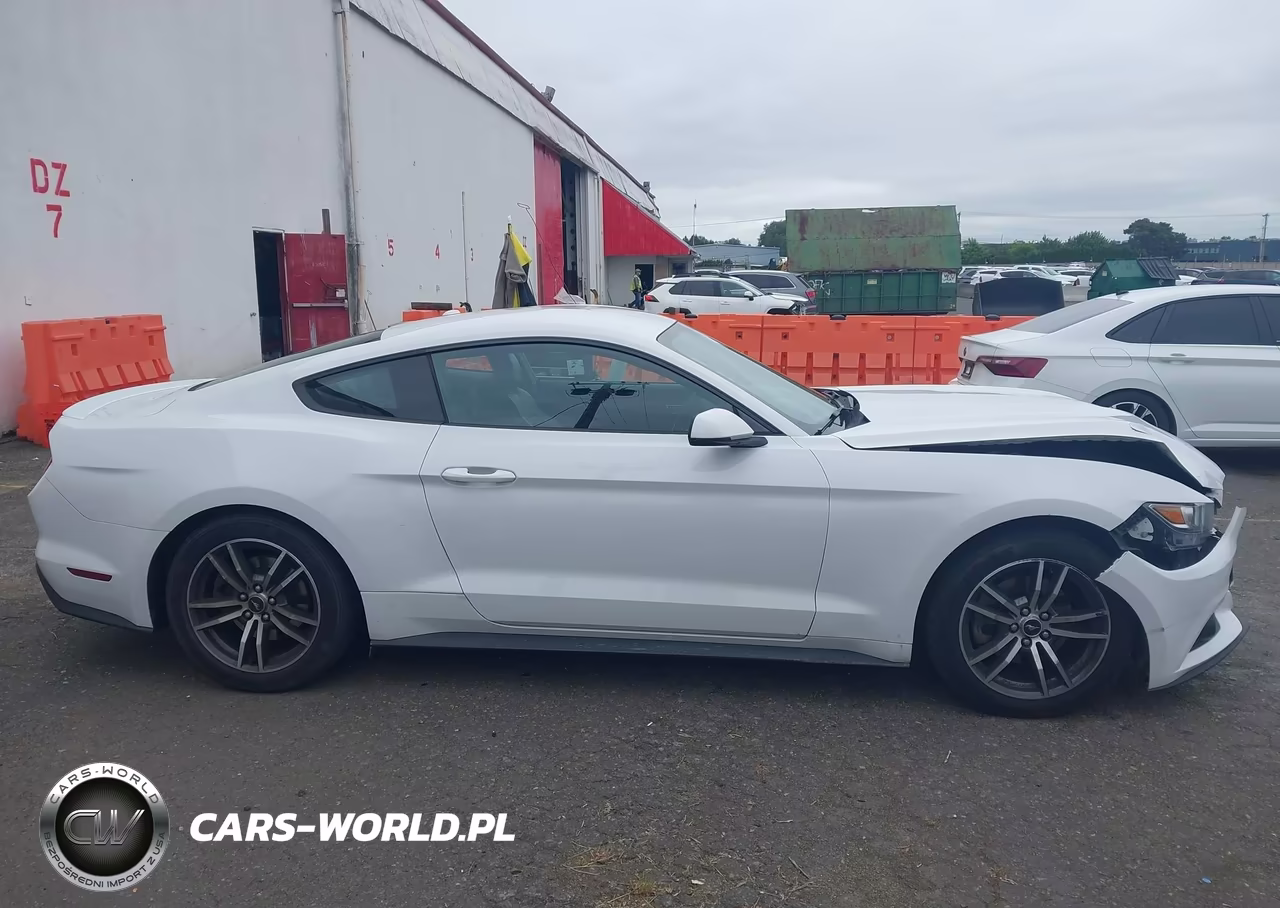2015 Ford Mustang Ecoboost VIN:1FA6P8TH6F5425858 - 13