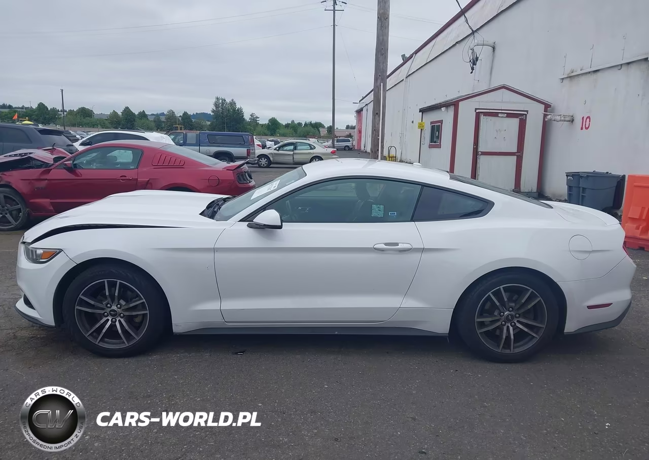 2015 Ford Mustang Ecoboost VIN:1FA6P8TH6F5425858 - 14