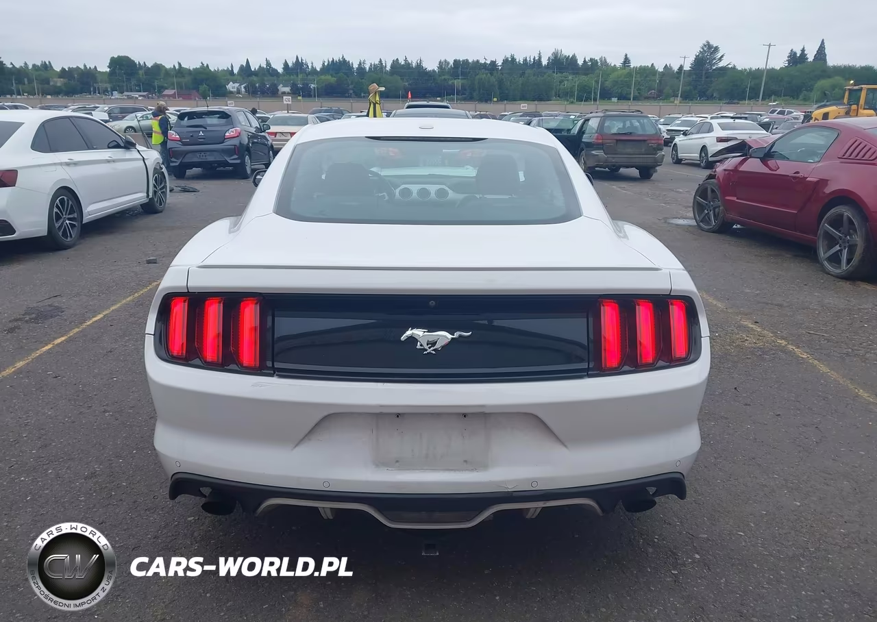 2015 Ford Mustang Ecoboost VIN:1FA6P8TH6F5425858 - 16