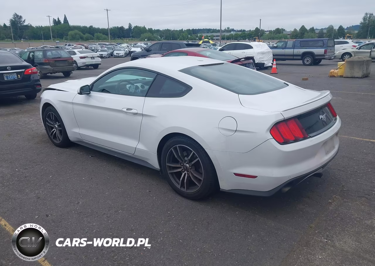 2015 Ford Mustang Ecoboost VIN:1FA6P8TH6F5425858 - 3