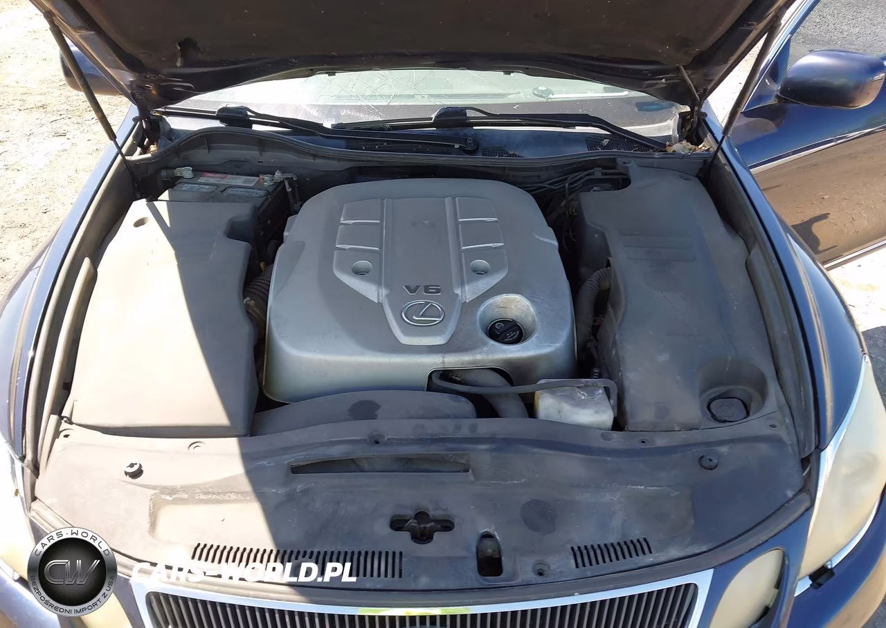 2006 Lexus Gs 300 VIN:JTHCH96S360005123 - 10