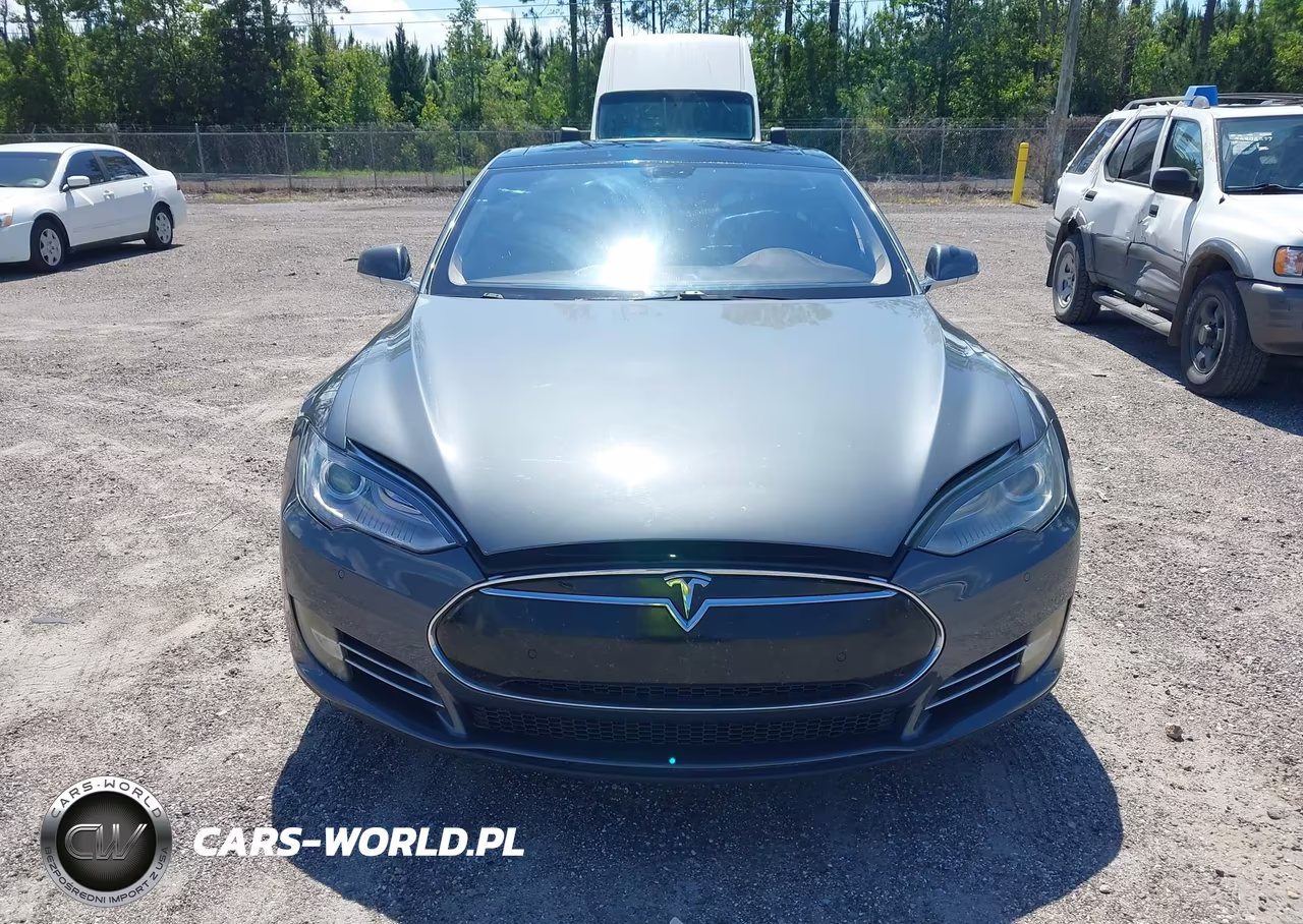 2013 Tesla Model S VIN:5YJSA1DN9DFP25296 - 12