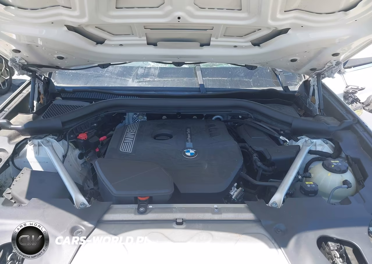 2019 BMW X3 Sdrive30I VIN:5UXTR7C52KLR45115 - 10