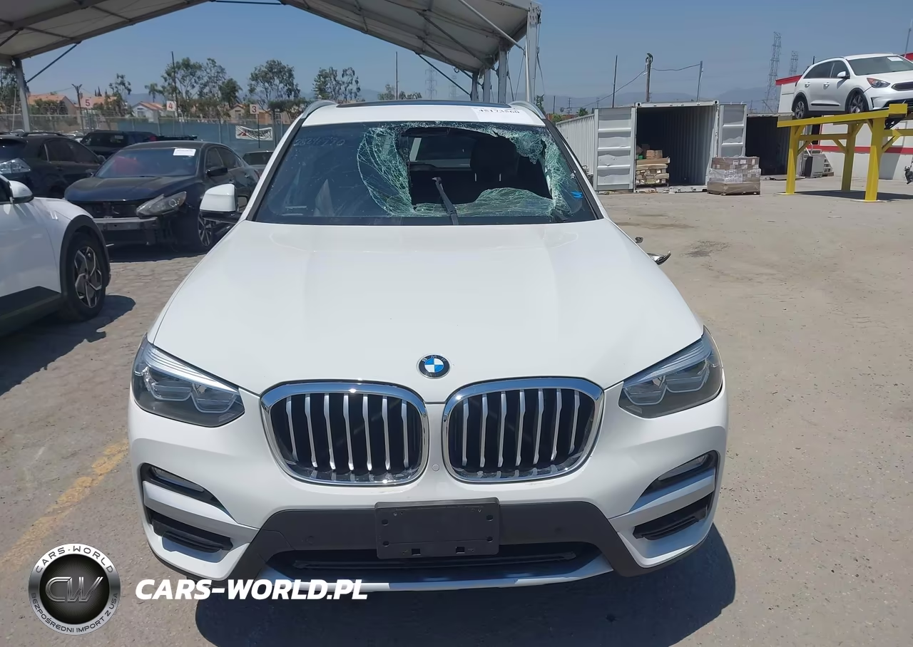 2019 BMW X3 Sdrive30I VIN:5UXTR7C52KLR45115 - 12