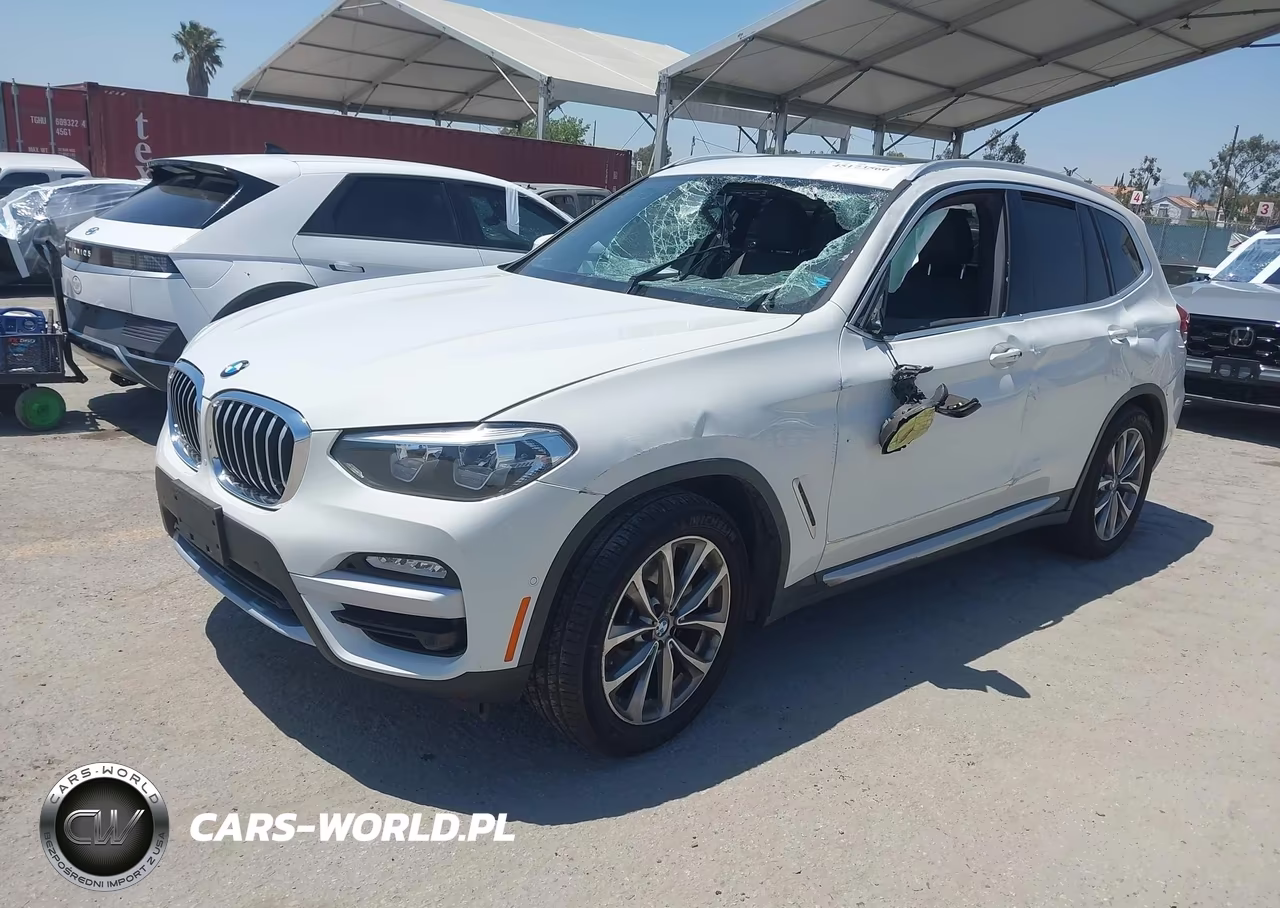 2019 BMW X3 Sdrive30I VIN:5UXTR7C52KLR45115 - 2