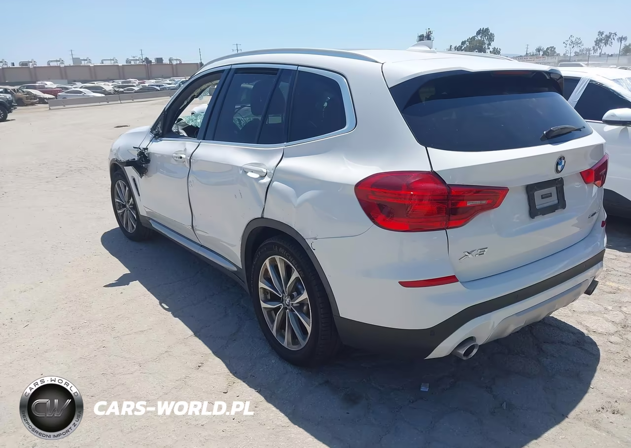 2019 BMW X3 Sdrive30I VIN:5UXTR7C52KLR45115 - 3