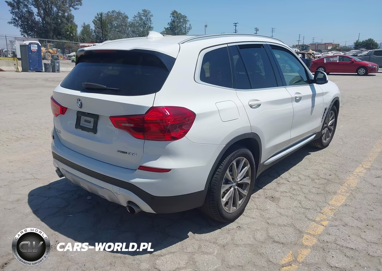 2019 BMW X3 Sdrive30I VIN:5UXTR7C52KLR45115 - 4