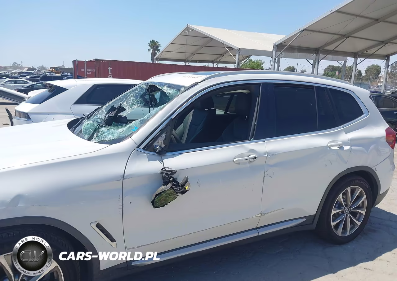2019 BMW X3 Sdrive30I VIN:5UXTR7C52KLR45115 - 6