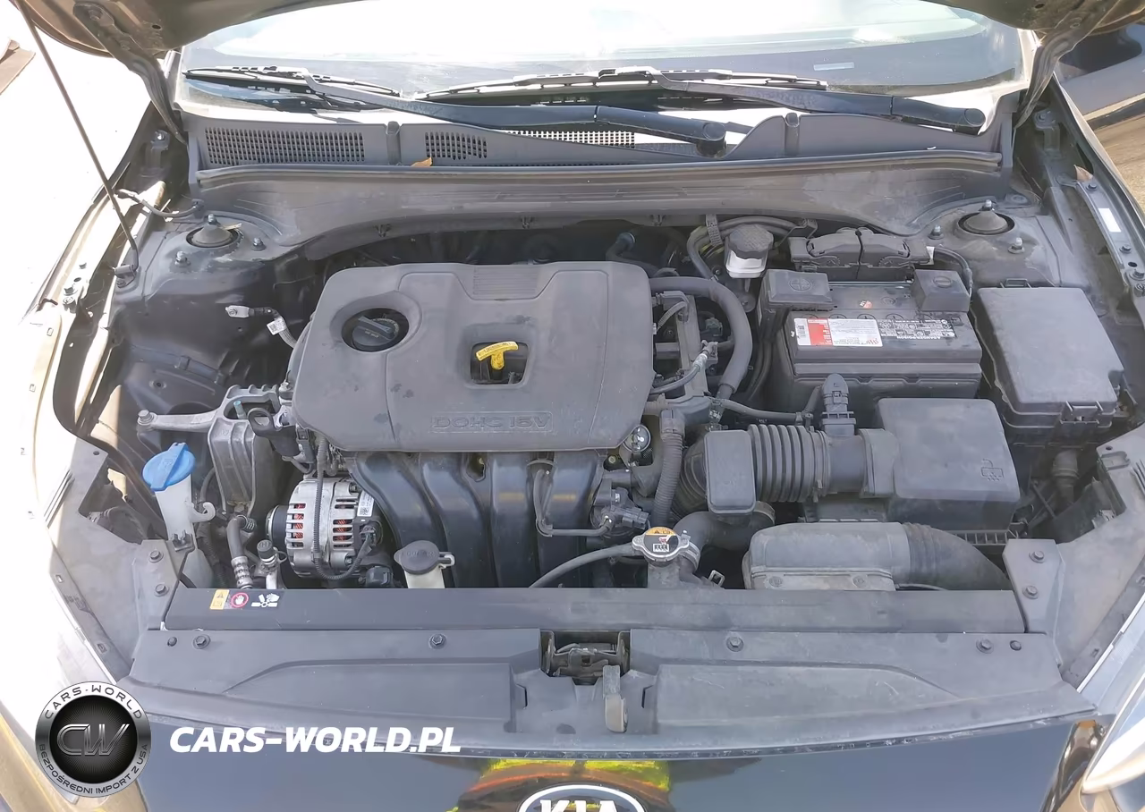 2020 Kia Forte Gt-Line VIN:3KPF34AD9LE228066 - 10