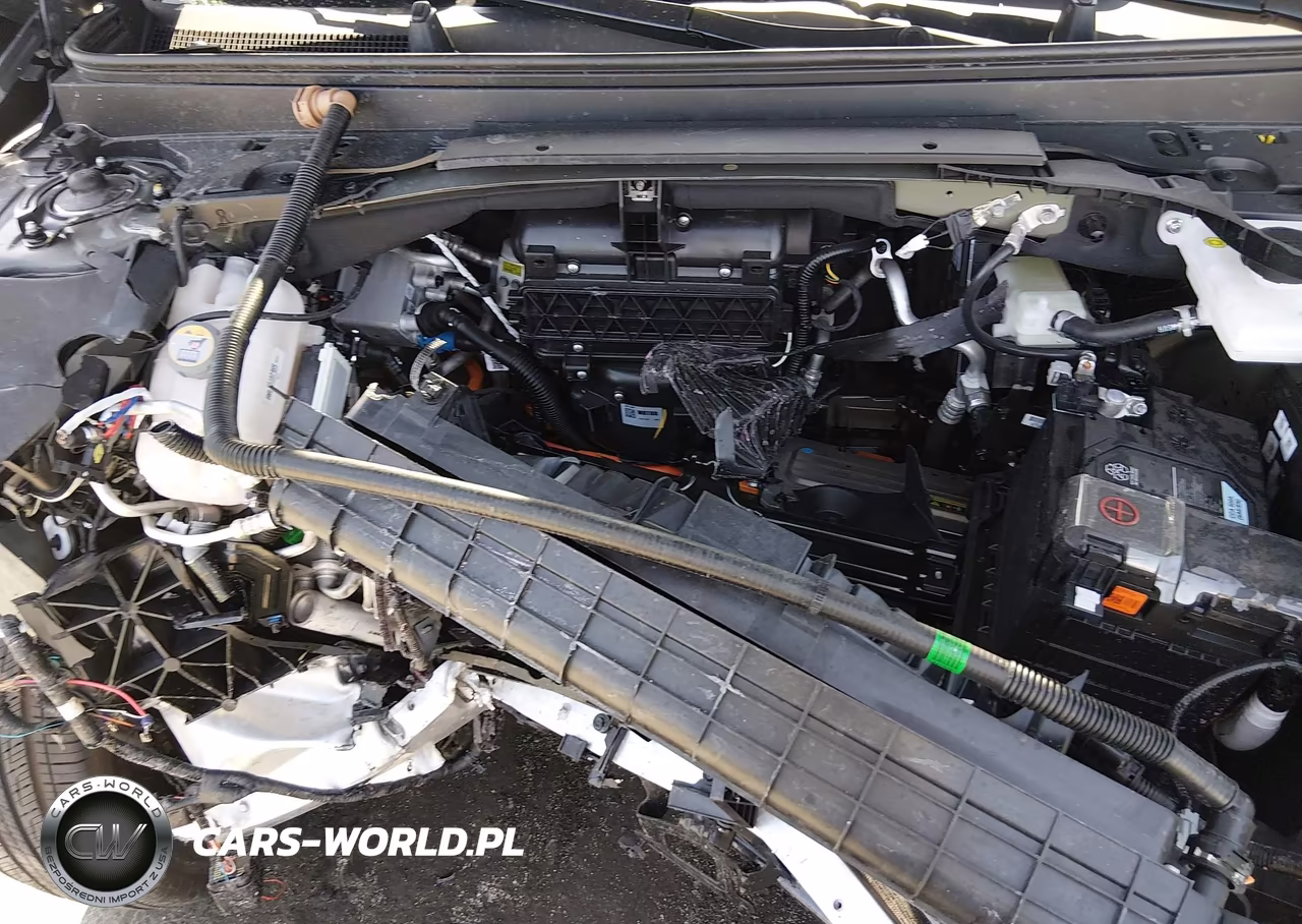 2026 Kia Ev9 Light Long Range VIN:5XYAB5S18TG019640 - 10