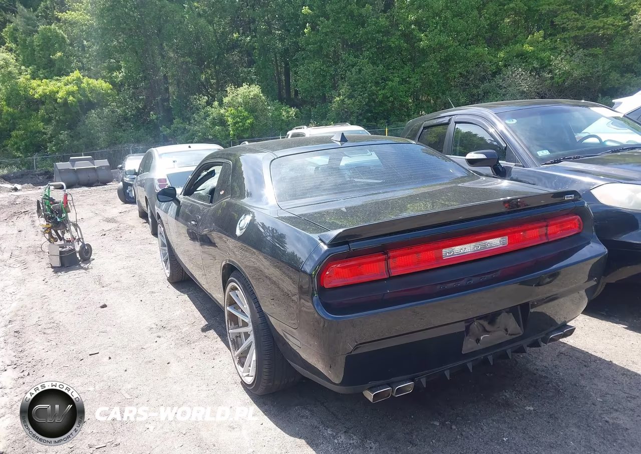 2010 Dodge Challenger R-T VIN:2B3CJ5DT6AH219880 - 3