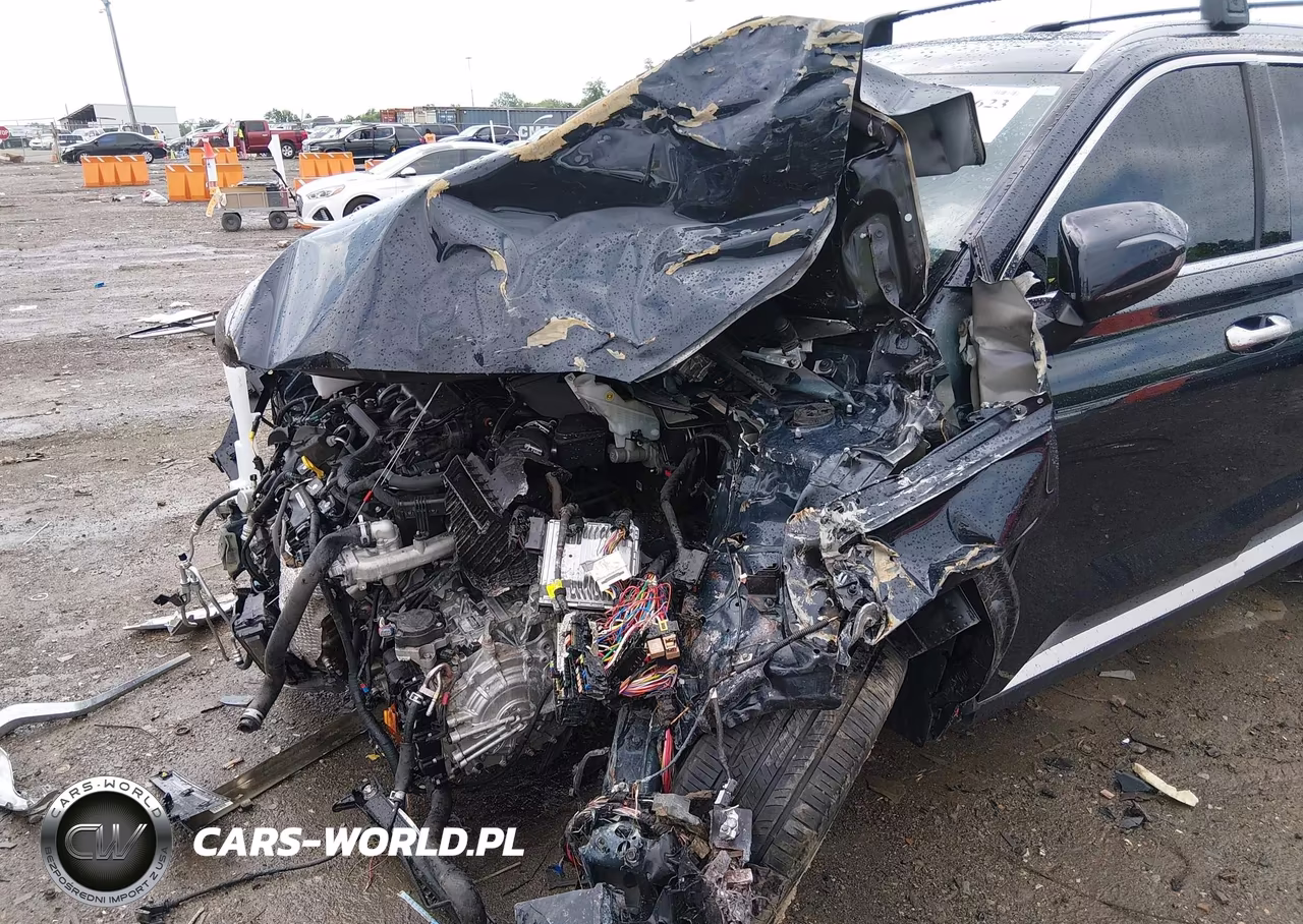 2024 Hyundai Palisade Sel VIN:KM8R4DGE4RU803058 - 6