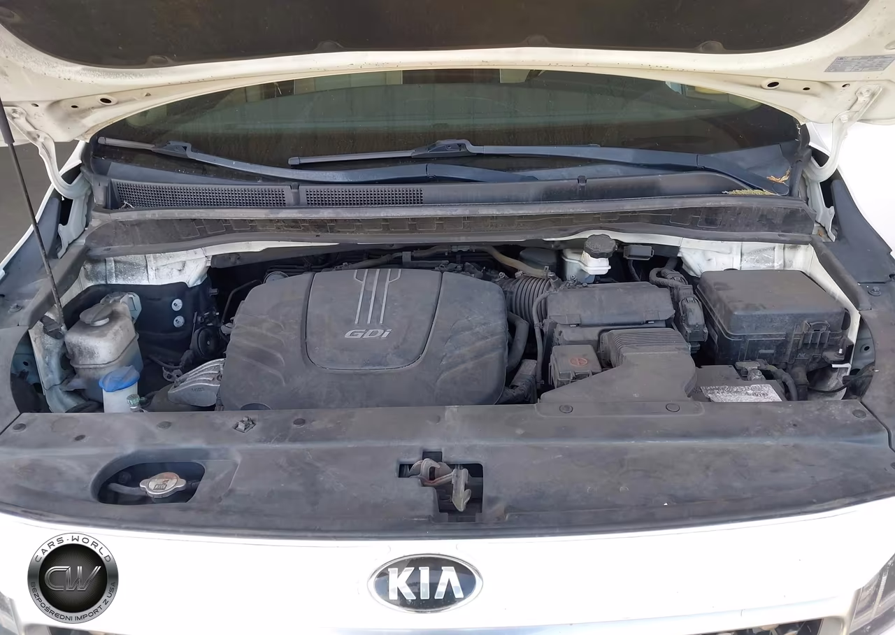 2015 Kia Sedona Sx Luxury VIN:KNDME5C12F6035052 - 10