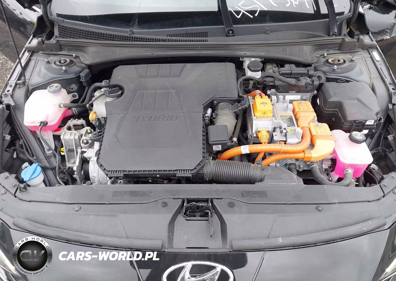 2023 Hyundai Elantra Hybrid Limited VIN:KMHLN4AJ3PU061001 - 10