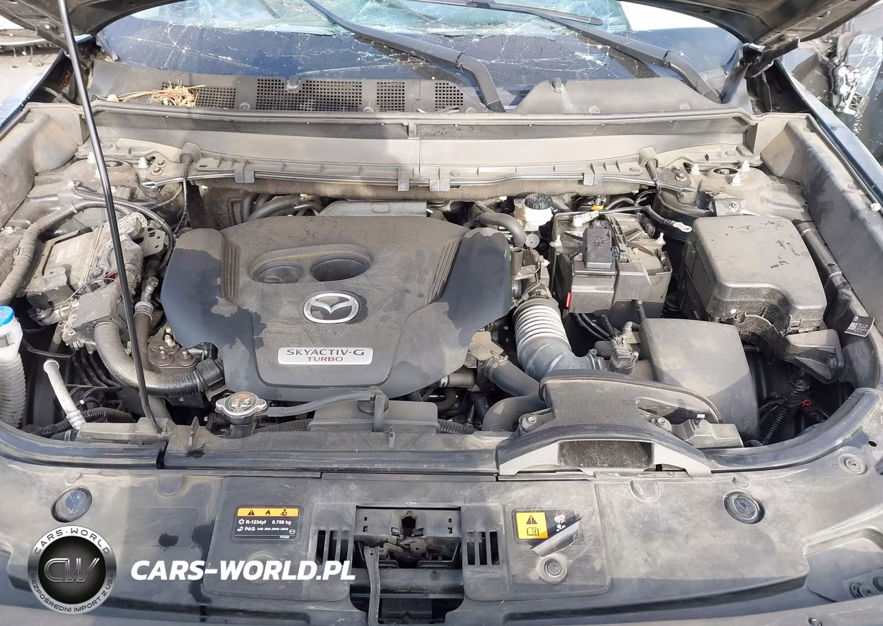 2023 Mazda Cx-9 Touring VIN:JM3TCBCY7P0636482 - 10
