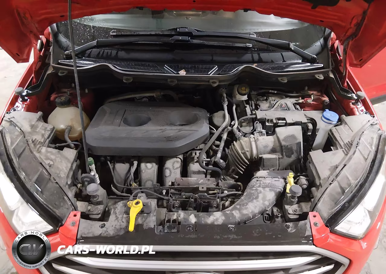 2019 Ford Ecosport Se VIN:MAJ6S3GL4KC280342 - 10