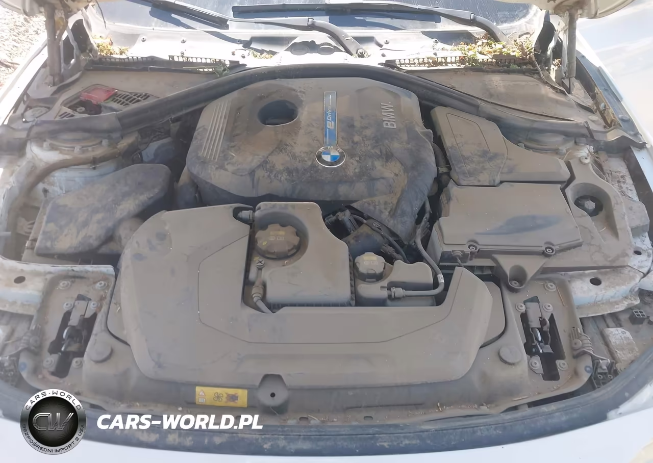 2017 BMW 330E Iperformance VIN:WBA8E1C53HK895224 - 10