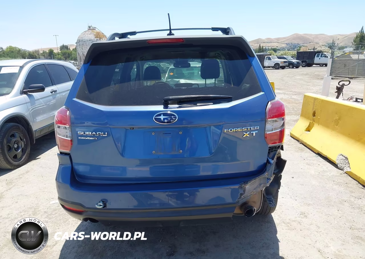 2015 Subaru Forester 2.0Xt Touring VIN:JF2SJGUCXFH417463 - 17