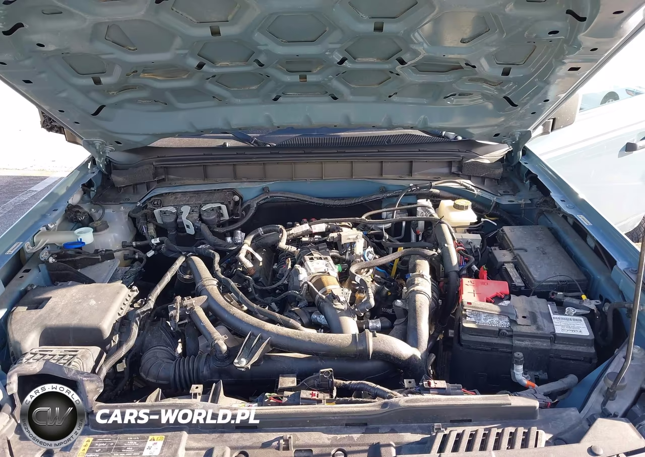 2023 Ford Bronco Big Bend VIN:1FMEE5DP8PLB65326 - 10