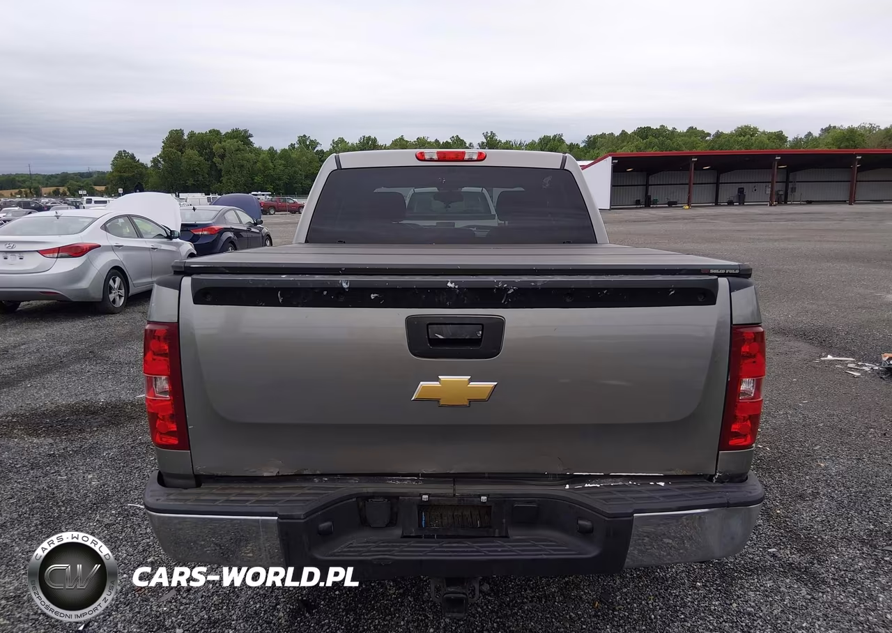 2013 Chevrolet Silverado 1500 Lt VIN:3GCPKSEA9DG191697 - 16