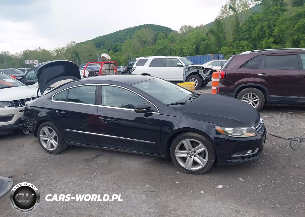 2013 Volkswagen Cc 2.0T Sport VIN:WVWBP7AN1DE563171 - 13